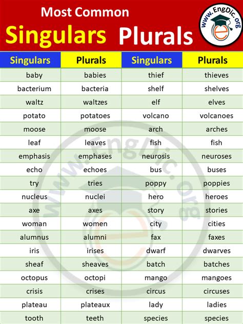 is dice singular or plural|list of singular and plural nouns.